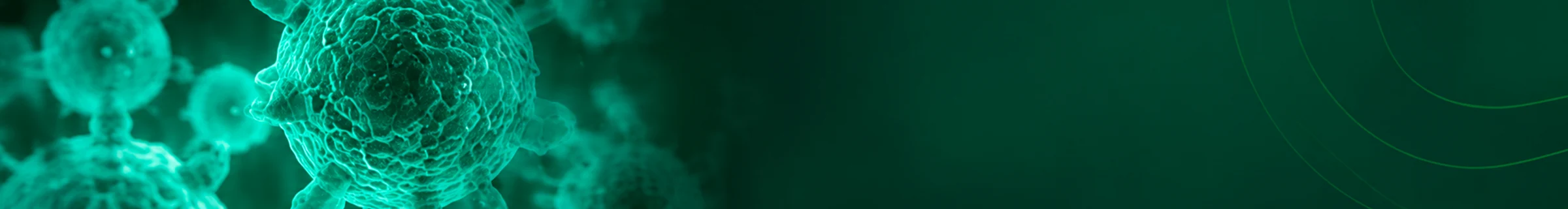 banner 4.jpg