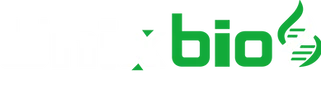Ativo 4.png